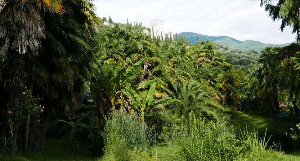 Arboretum of Arco - Former Archduke Park, Arco, Italy, Italy
